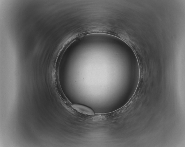 X0000110770050200906151334