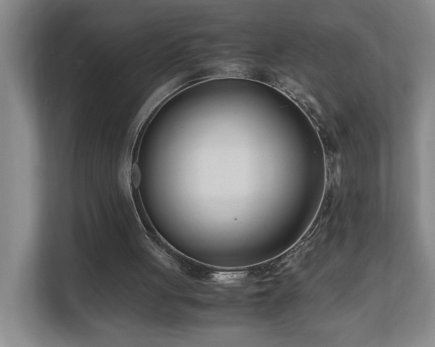 X0000110770051200906151334