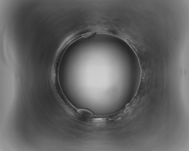 X0000110770053200906151334