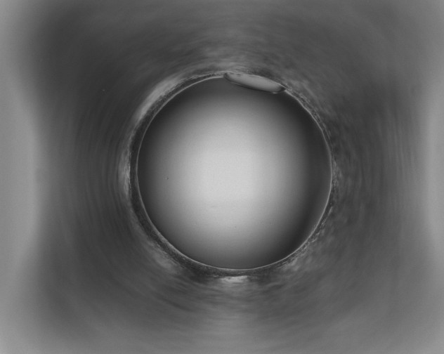 X0000110770054200906151334