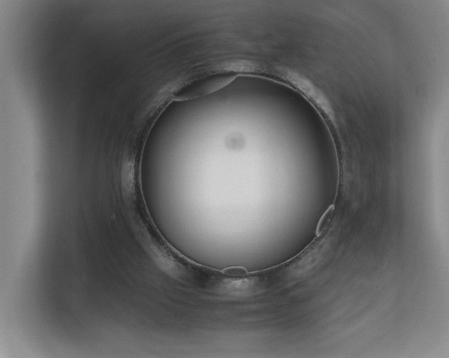 X0000110770057200906151334