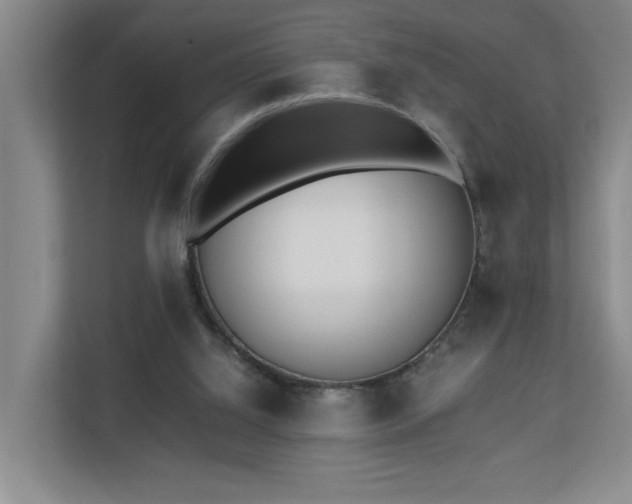 X0000110770060200906151334