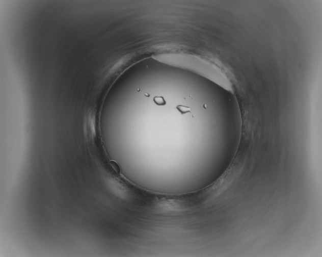 X0000110770062200906151334