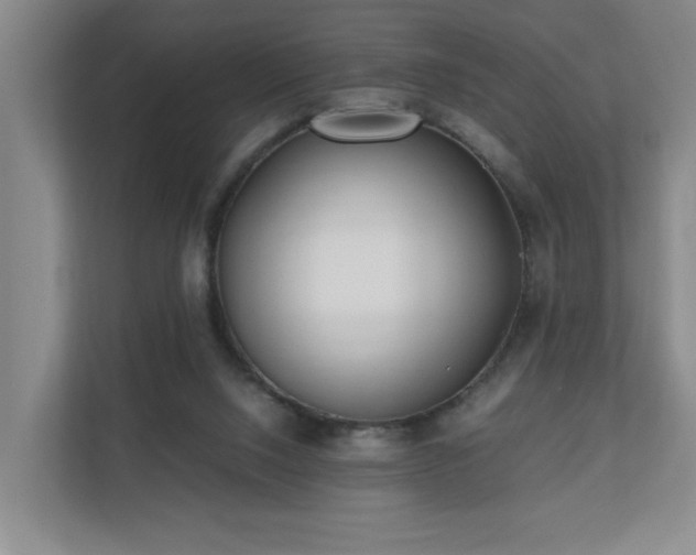 X0000110770064200906151334