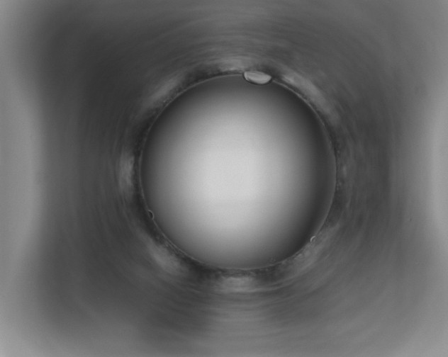 X0000110770066200906151334