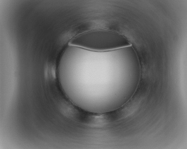 X0000110770068200906151334