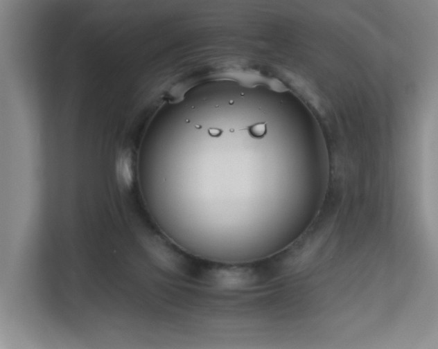 X0000110770069200906151334