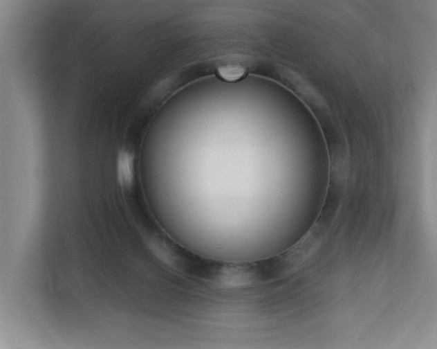 X0000110770070200906151334