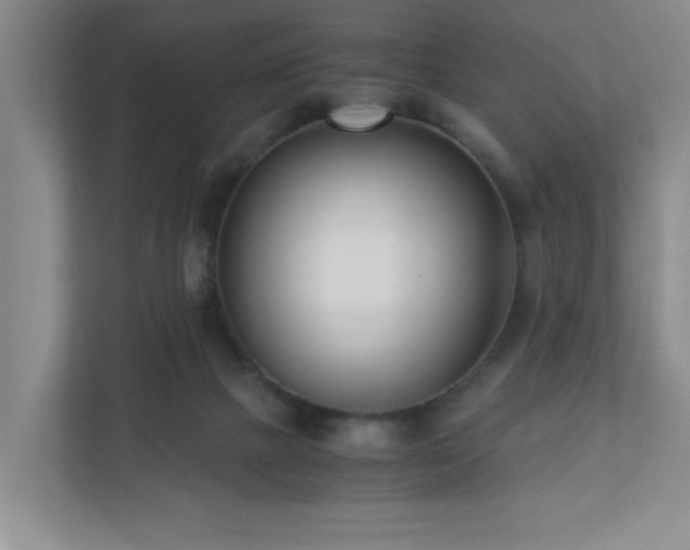 X0000110770073200906151334