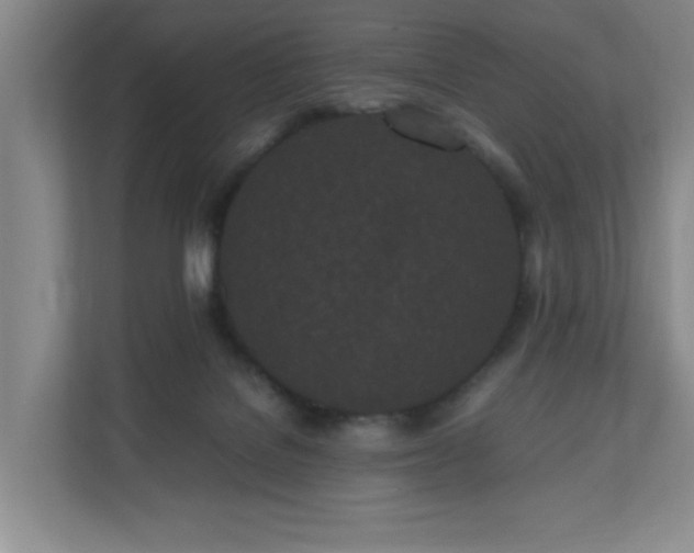 X0000110770076200906151334