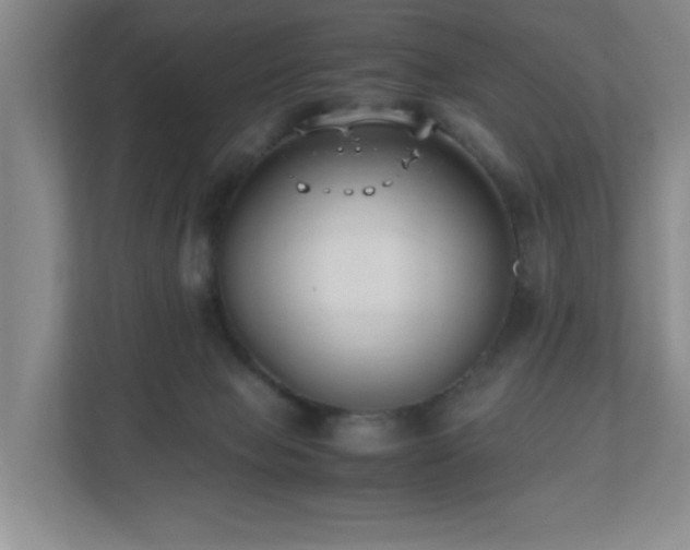 X0000110770077200906151334