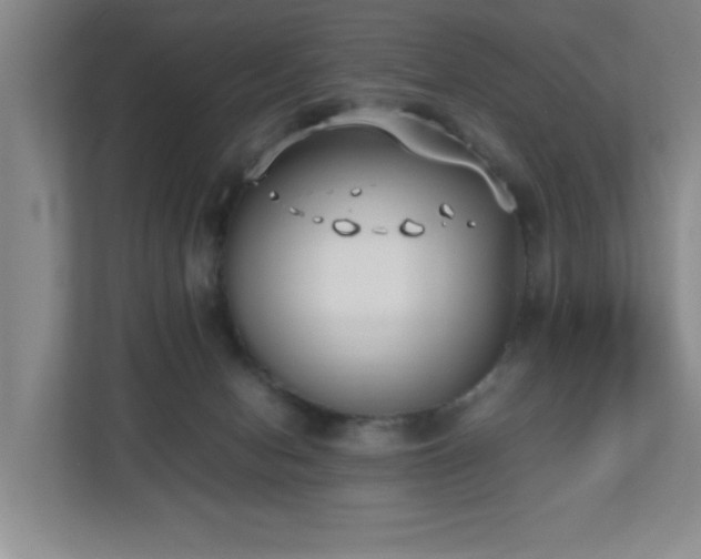 X0000110770078200906151334