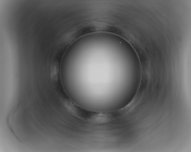 X0000110770082200906151334