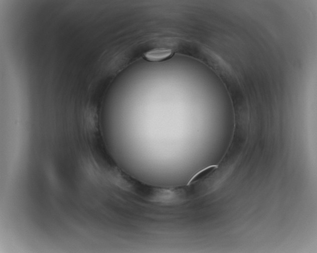 X0000110770083200906151334