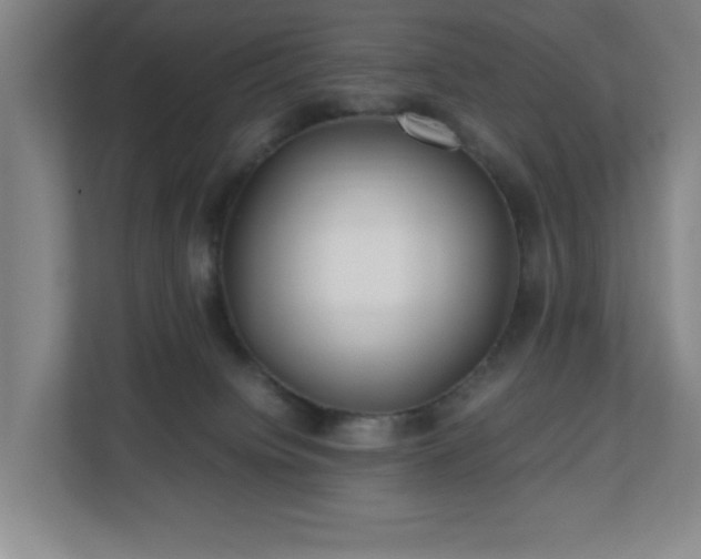 X0000110770084200906151334