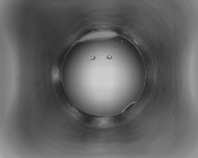 X0000110770089200906151334