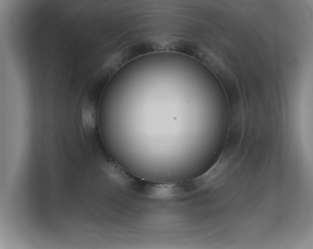 X0000110770090200906151334