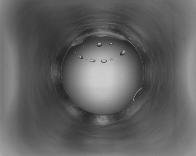 X0000110770091200906151334