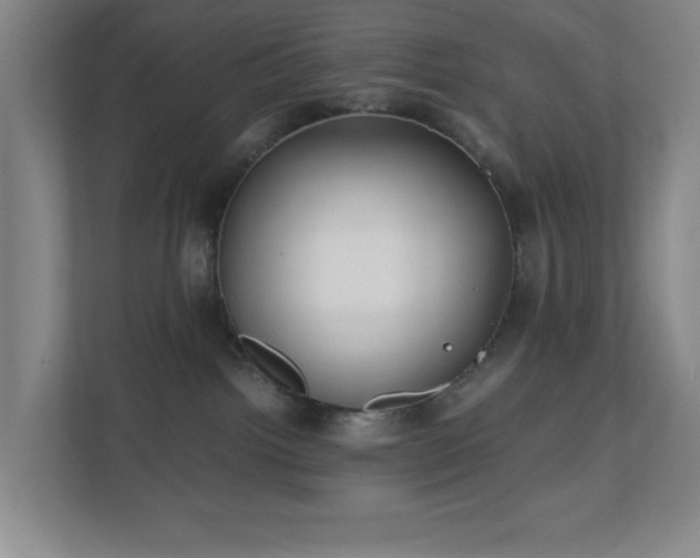 X0000110770092200906151334