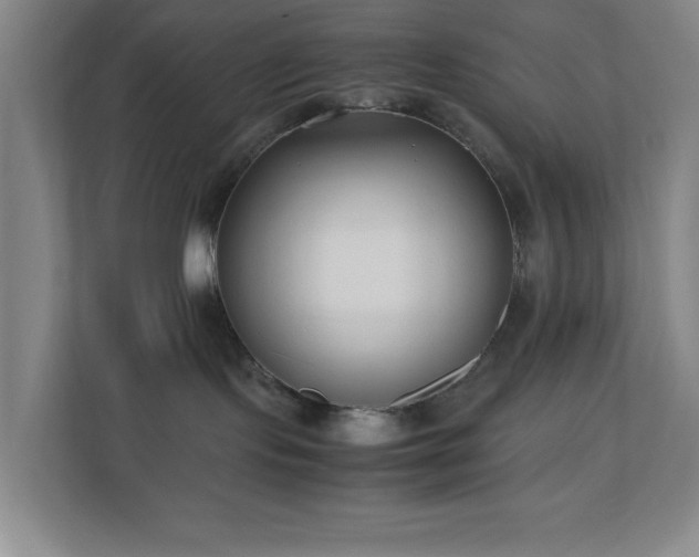 X0000110770095200906151334