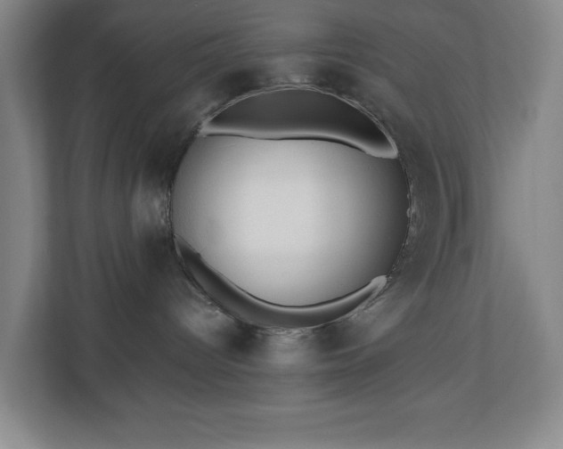 X0000110770096200906151334