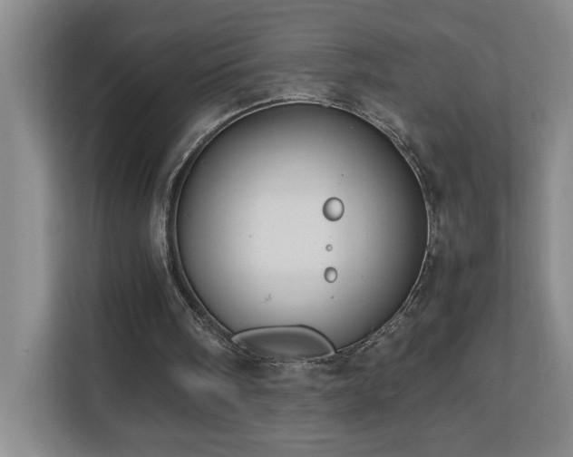 X0000110770098200906151334