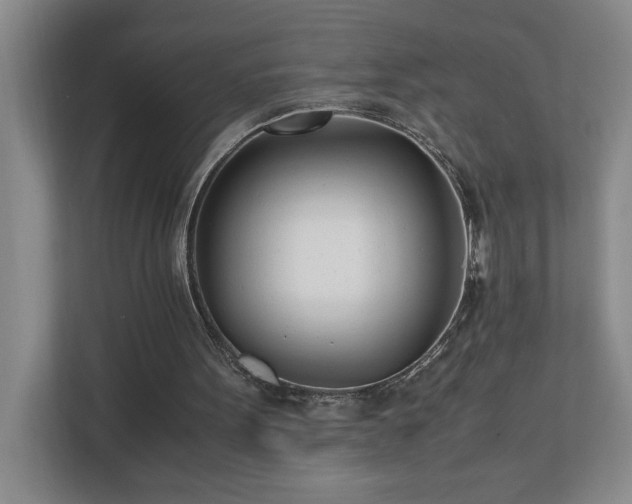 X0000110770099200906151334