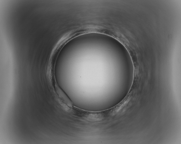 X0000110770101200906151334