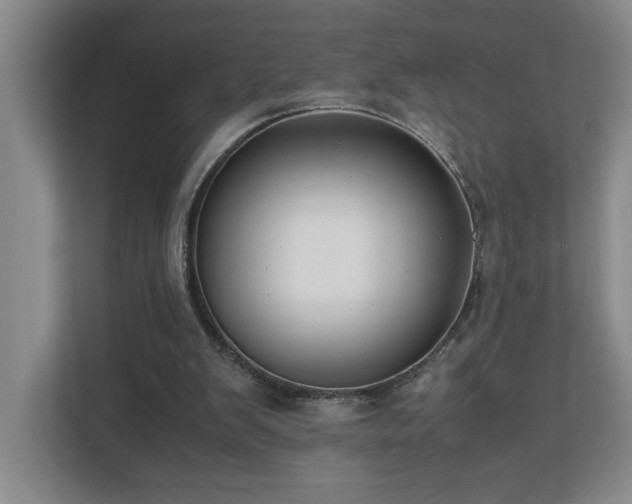 X0000110770103200906151334