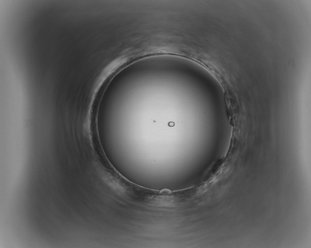 X0000110770104200906151334