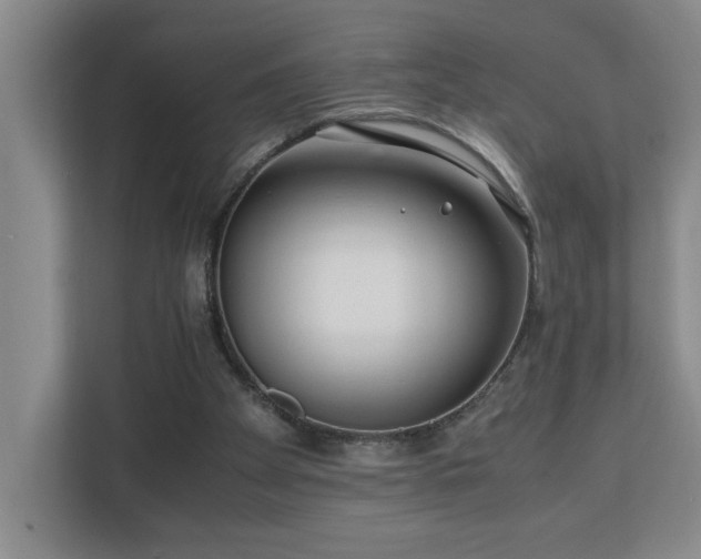 X0000110770105200906151334