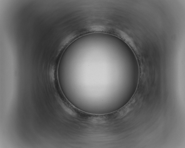 X0000110770106200906151334