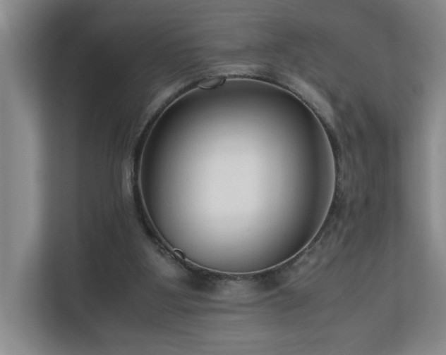 X0000110770107200906151334