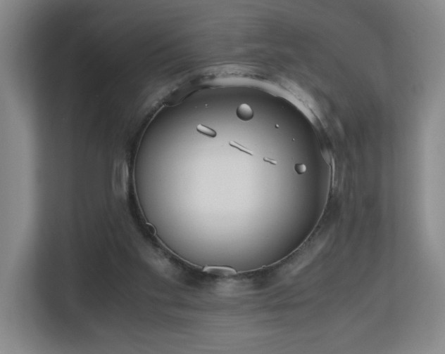 X0000110770109200906151333