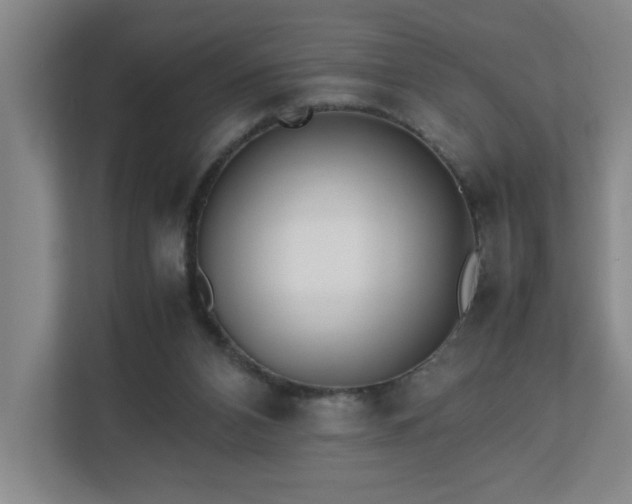 X0000110770112200906151333