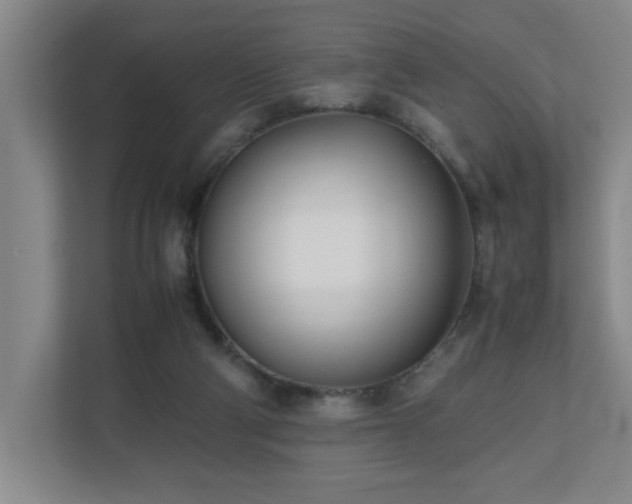 X0000110770114200906151333