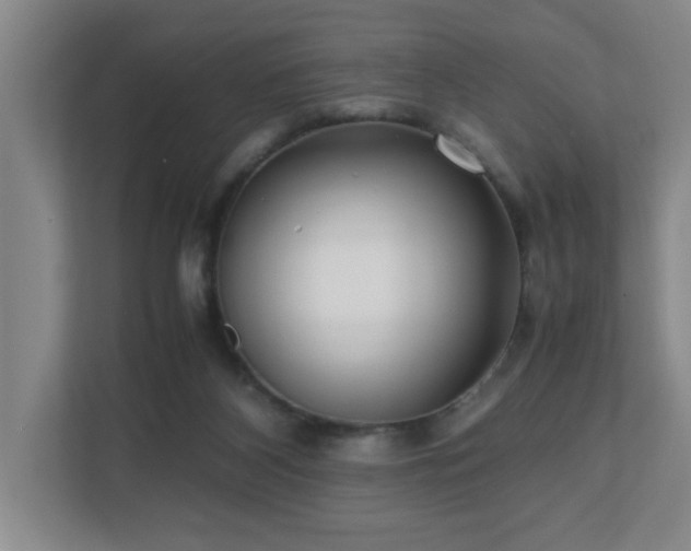 X0000110770116200906151333