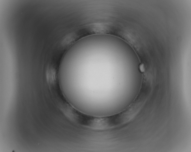 X0000110770117200906151333