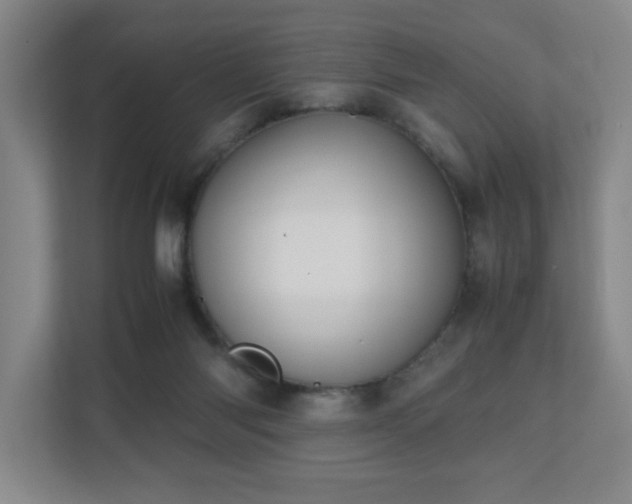 X0000110770118200906151333