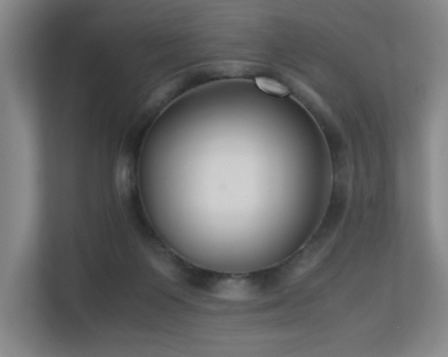 X0000110770119200906151333