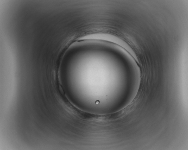 X0000110770120200906151333