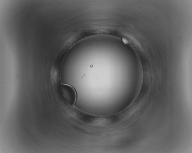 X0000110770123200906151333