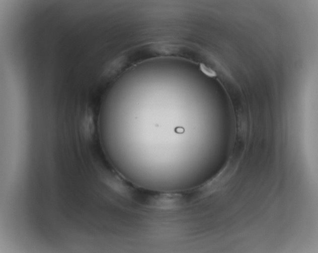 X0000110770128200906151333