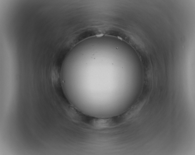 X0000110770129200906151333