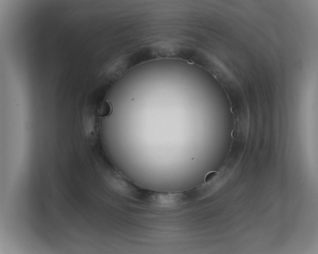 X0000110770134200906151333