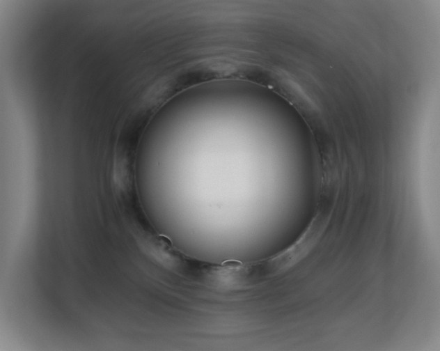 X0000110770136200906151333