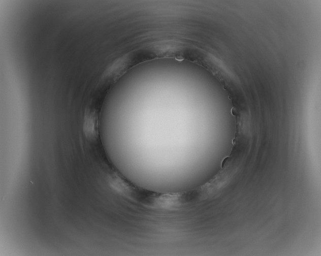 X0000110770138200906151333