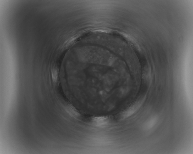 X0000110770139200906151333