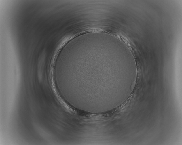 X0000110770145200906151332