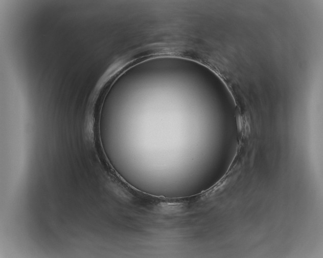 X0000110770150200906151332